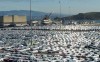 огромные масштабы угонов японских авто
